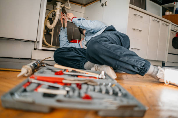Best Same-Day Plumbing Service  in Collinsvle, IL