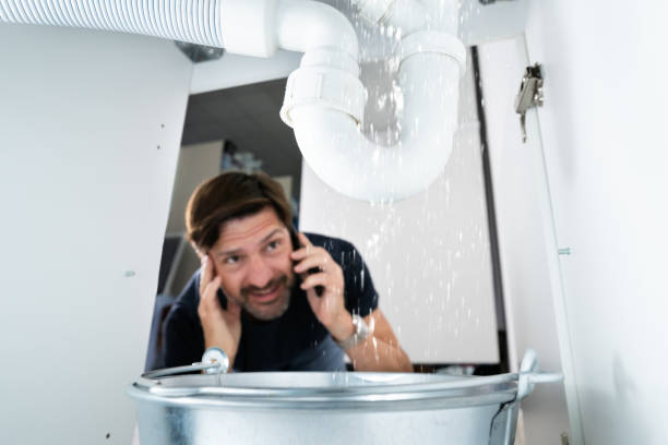Best Sprinkler Systems  in Collinsvle, IL